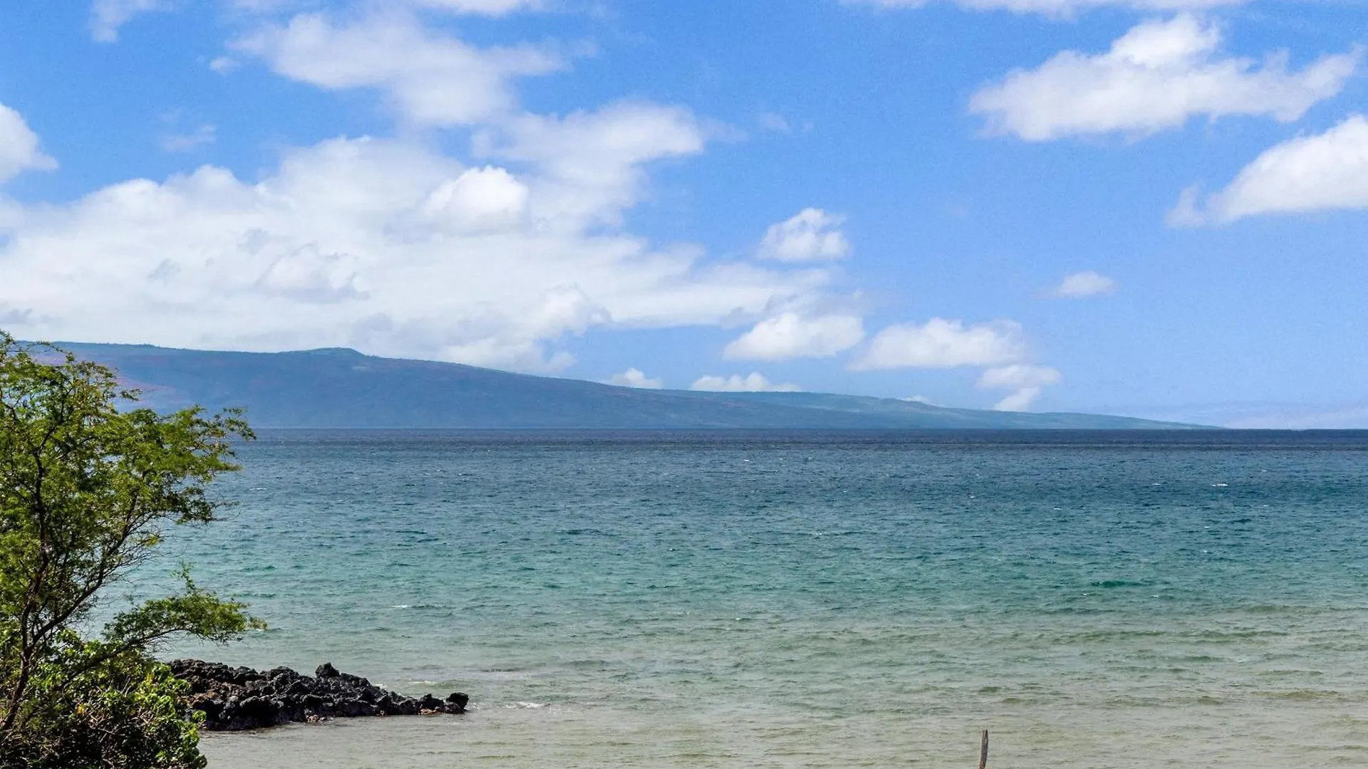 Shores Of Maui 215 Dramatic Ocean Views Steps To The Beach Renovated Ac 5964 Kihei